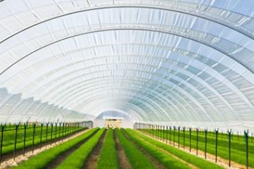 تهیه طرح های کانون مشاوران اعتباری و سرمایه گذاری بانکی