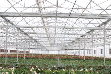 مدیریت پیمان و اجرای سازه های گلخانه